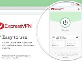 windows 10无法打VPN网址